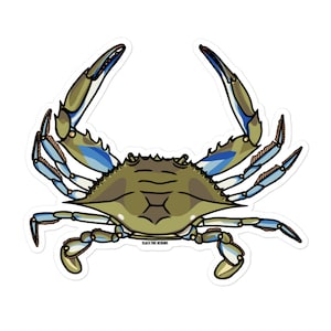BLUE CRAB STICKER, slack tide designs, Chesapeake Bay, Virginia, Maryland Blue crab, waterman, fishing, slack tide
