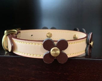 coach dog collar large