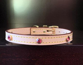 coach cat collar