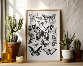 Vintage Butterfly Print | Digital Download | Butterfly Collage Print | Moth Print | Butterfly Design | Wall Decor | Butterfly Wall Art