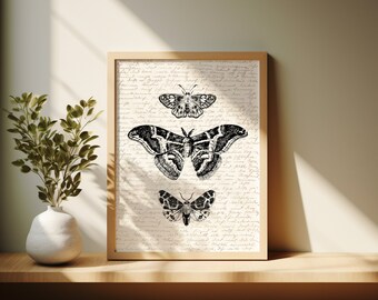 Vintage Moth Collage Print | Botanical Wall Art (Digital Download)