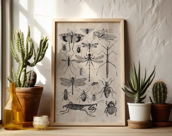 Vintage Insect Print | Digital Download | Insect Collage Print | Insect Print | Insect Design | Wall Decor | Insect Wall Art