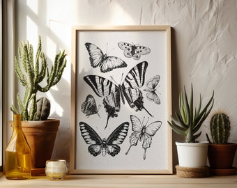 Vintage Butterfly Print | Digital Download | Butterfly Collage Print | Moth Print | Butterfly Design | Wall Decor | Butterfly Wall Art