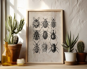 Vintage Beetle Print | Digital Download | Beetle Collage Print | Beetle Print | Beetle Design | Wall Decor | Beetle Wall Art