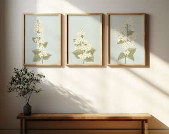 Set of 3 Flower Prints | Digital Download | Flower Collage Print | Flower Print | Flower Design | Wall Decor | Flower Wall Art