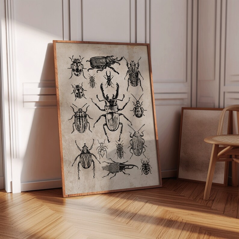 Vintage Beetle Collage Print | Entomological Wall Art (digital Download ...