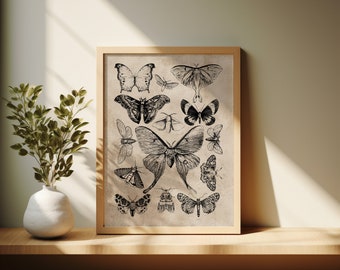Vintage Moth Collage Print | Botanical Wall Art (Digital Download)