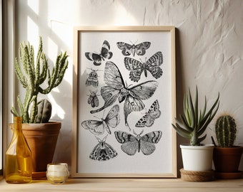 Vintage Moth Print | Digital Download | Moth Collage Print | Moth Print | Moth Design | Wall Decor | Moth Wall Art | Luna Moth