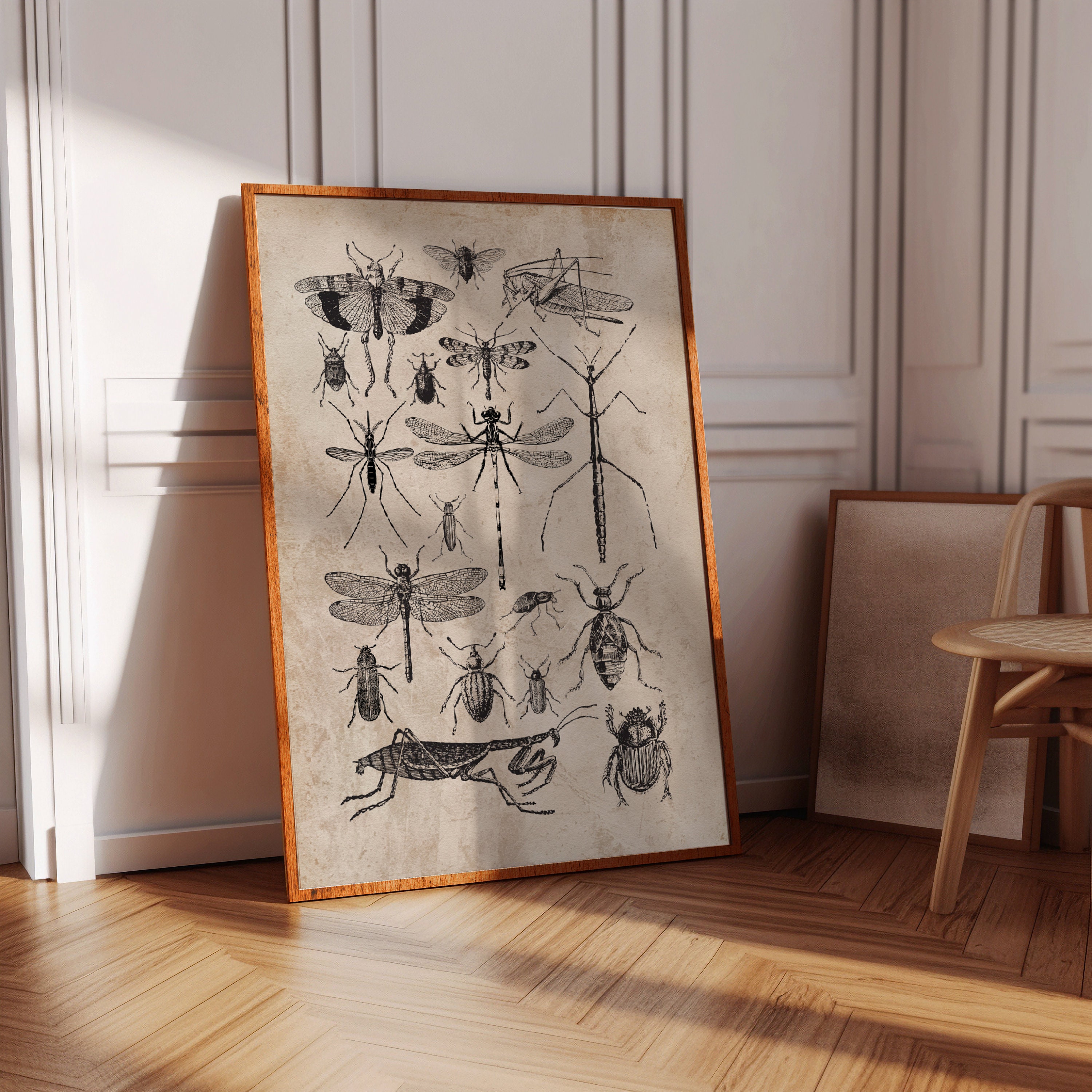 Vintage Insect Collage Print | Entomology Wall Art (digital Download ...
