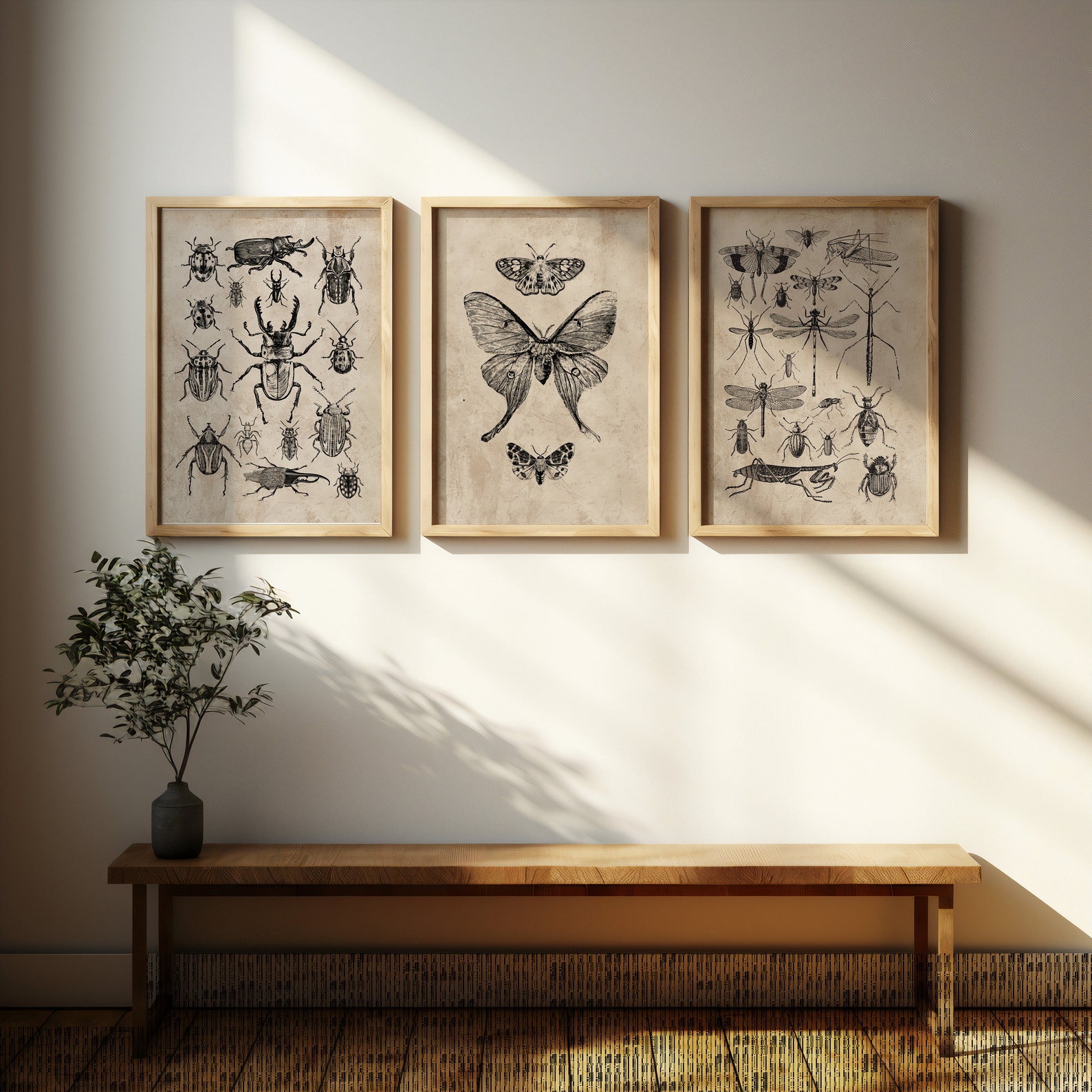 Vintage Luna Moth Wall Art Print | Botanical Insect Design (digital ...