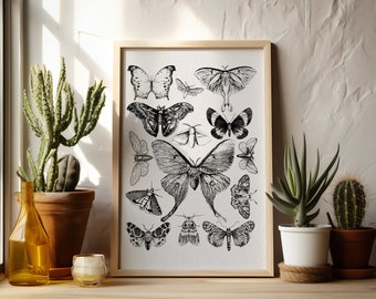 Vintage Luna Moth Print | Digital Download | Luna Moth Collage Print | Luna Moth Print | Moth Design | Wall Decor | Moth Wall Art |Luna Moth