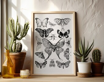 Vintage Moth Collage Print | Luna Moth Wall Art (Digital Download)