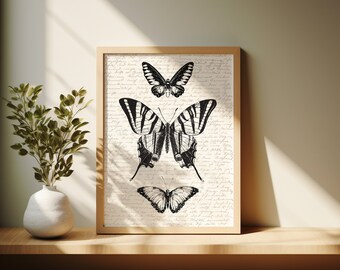 Vintage Butterfly Print | Digital Download | Butterfly Collage Print | Moth Print | Butterfly Design | Wall Decor | Butterfly Wall Art