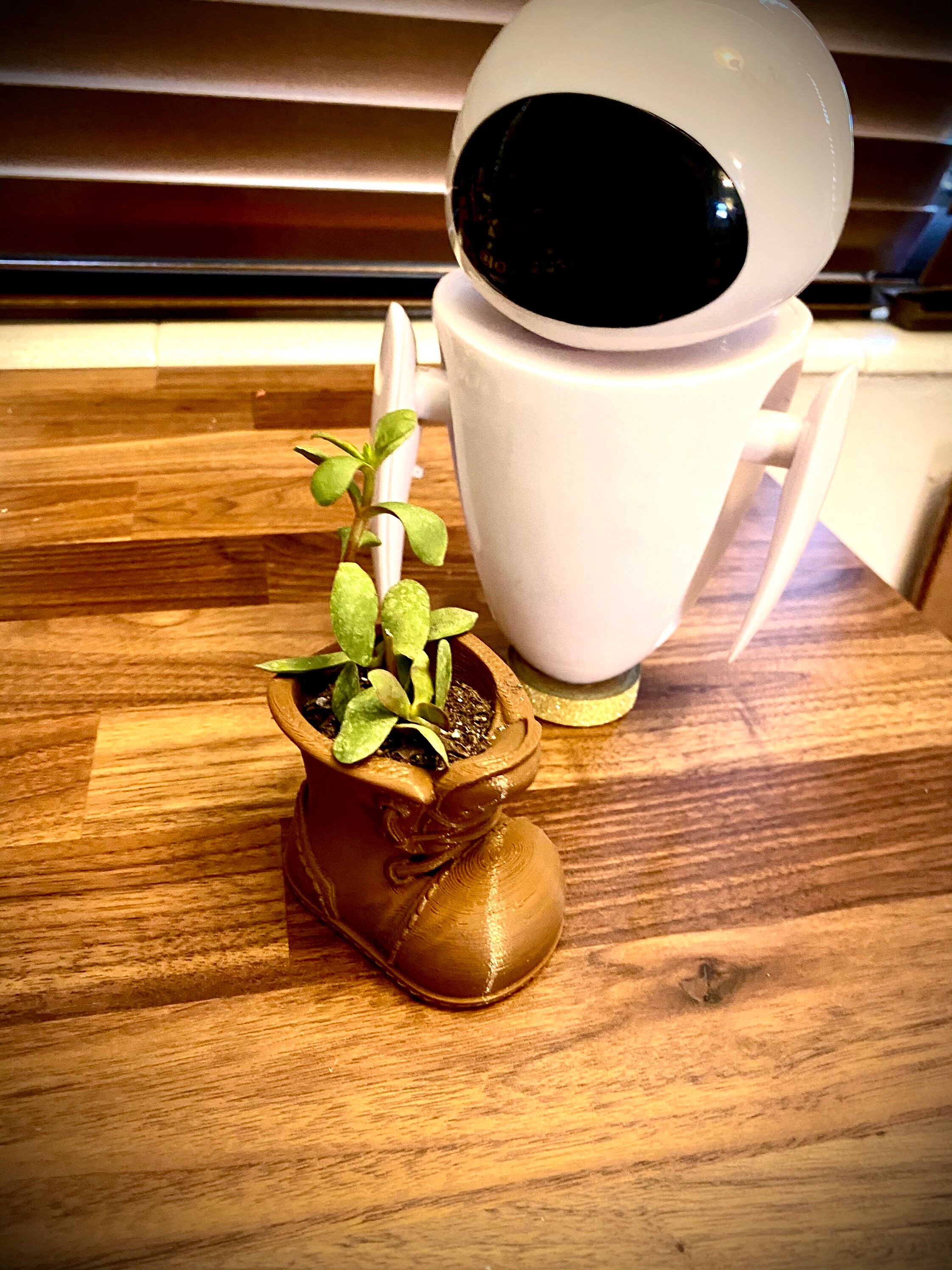 Planter /Suculent home regalo Walle Boot Pot Etsy