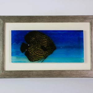 Discus Fish Undersea Glass Casting Underwater Art, Fused Glass Wall Art, Seashell Art, Beach Decor, Underwater Art, Fused Glass Art Decor