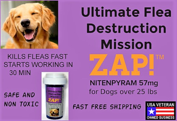 nitenpyram flea killer