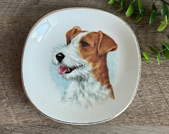 Wire Fox Terrier Plate | Vintage Royal Falcon Ware England | Dog Portrait Dish | Terrier Decor | Dog Lover Gift Collectible