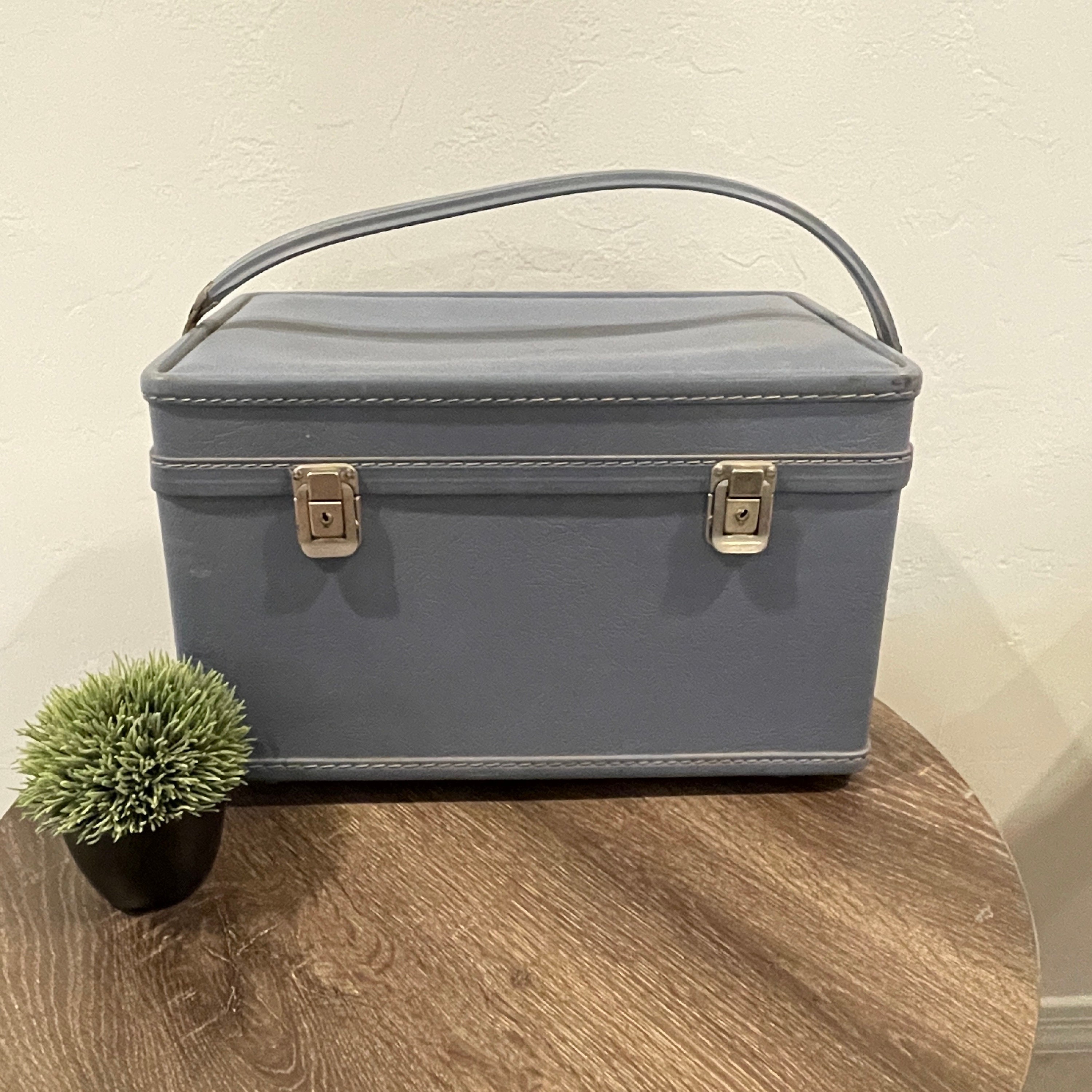 The Botanist Vanity  Small Vintage Style Suitcase Travel Vanity Case –  Steamline Luggage