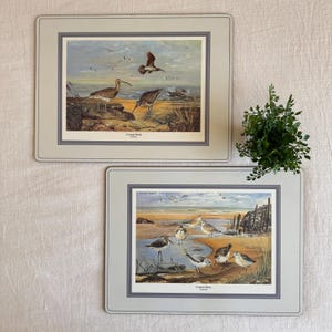 May include: Two rectangular placemats with a coastal bird theme. Each placemat features a framed illustration of shorebirds in their natural habitat, with a light gray border. The text "Coastal Birds" is printed at the bottom of each image.