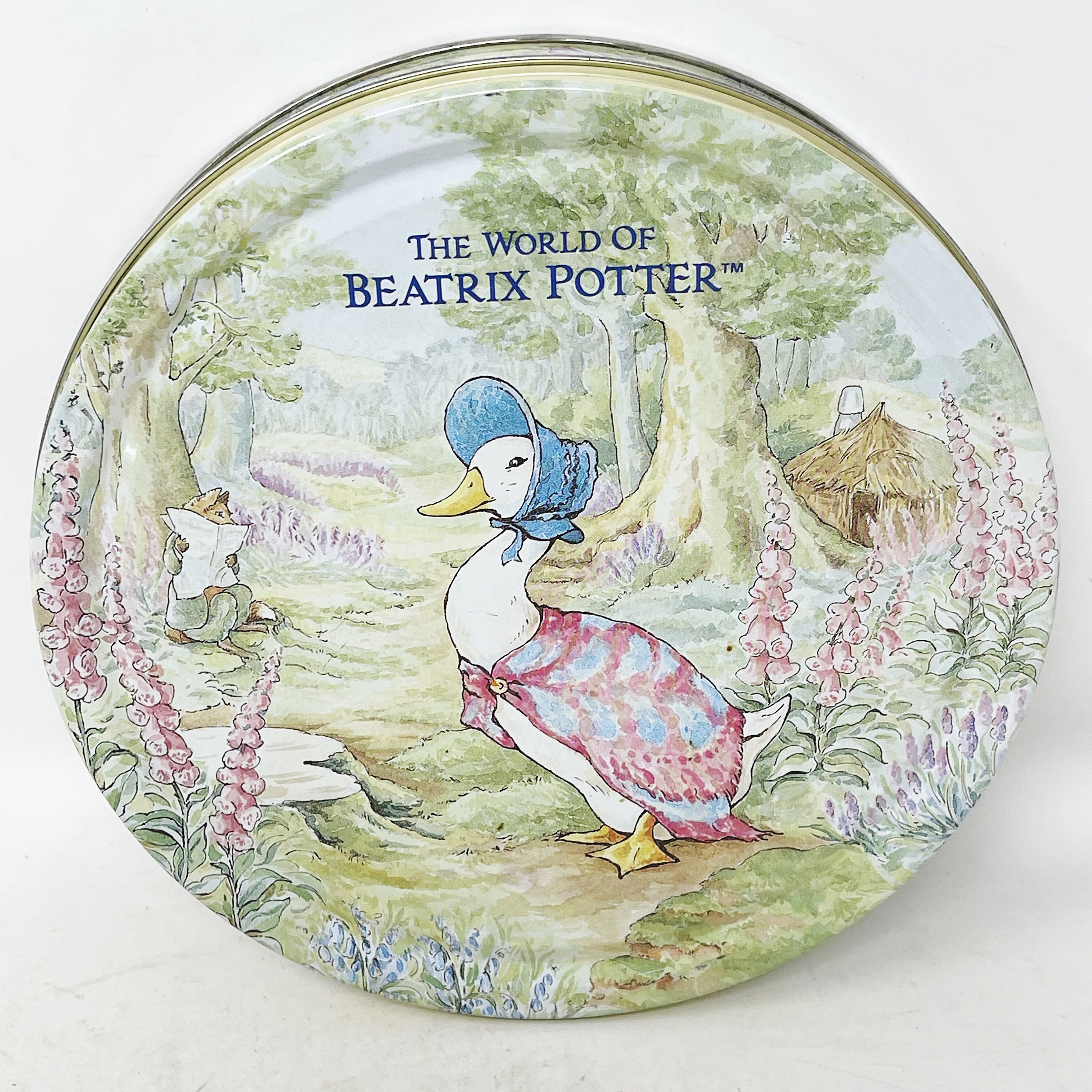 写真立て THE WORLD OF BEATRIX POTTER Beatrix-Potter-Peter-Rabbit-