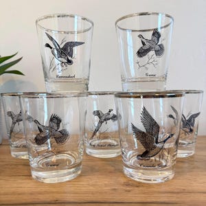 Vintage Bird Glasses Set of 7 | Mid Century Barware with Game Birds | Silver Rim Cocktail Glasses | Grouse Goose Pheasant Decor