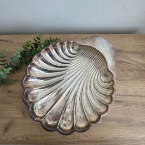 May include: A silver-toned, shell-shaped serving dish with a detailed, ridged design. The dish has a scalloped edge and a slightly tarnished appearance, suggesting age. The dish is placed on a wooden surface.