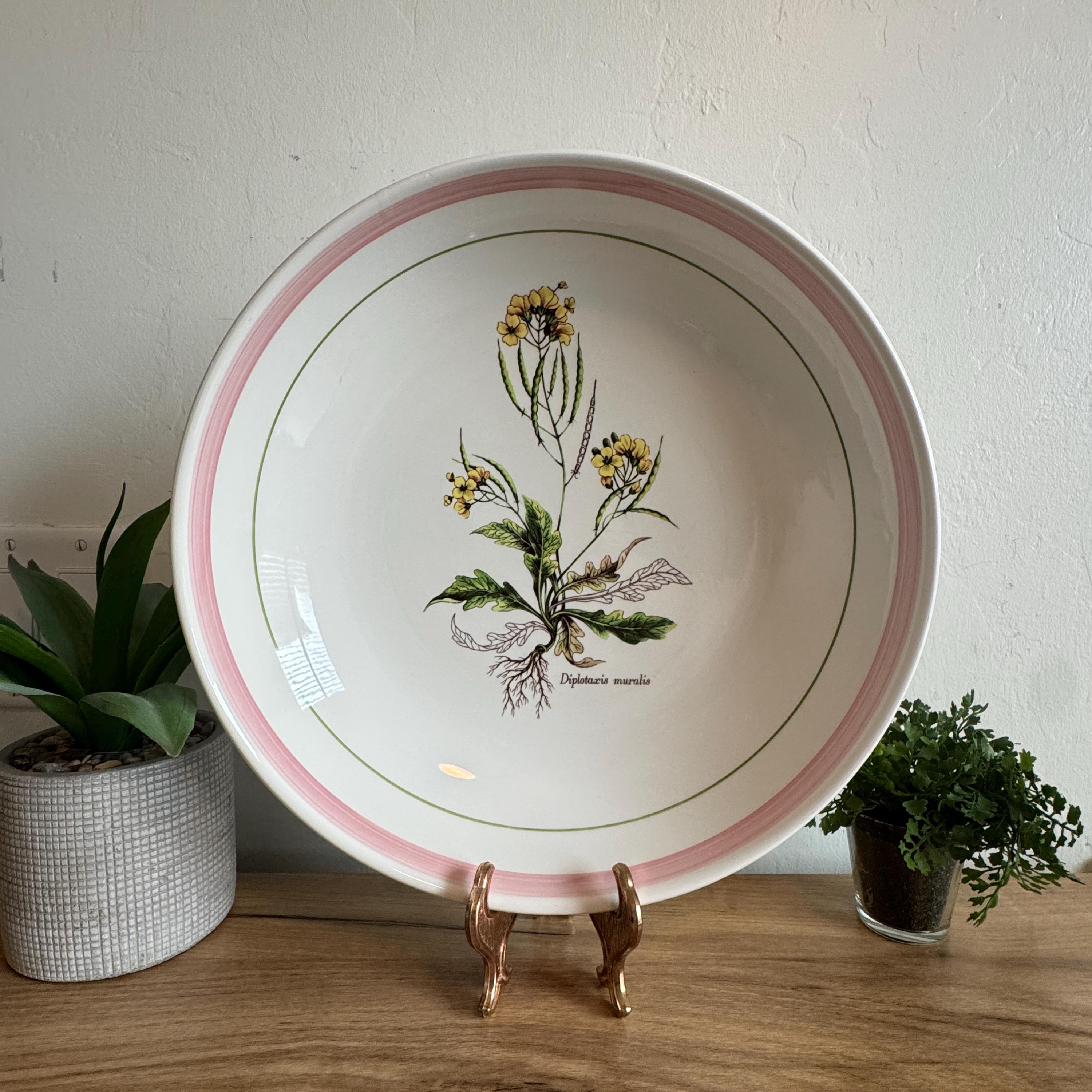 La Primula Italy - Etsy
