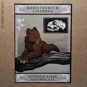 Homotherium Cub - Small Print