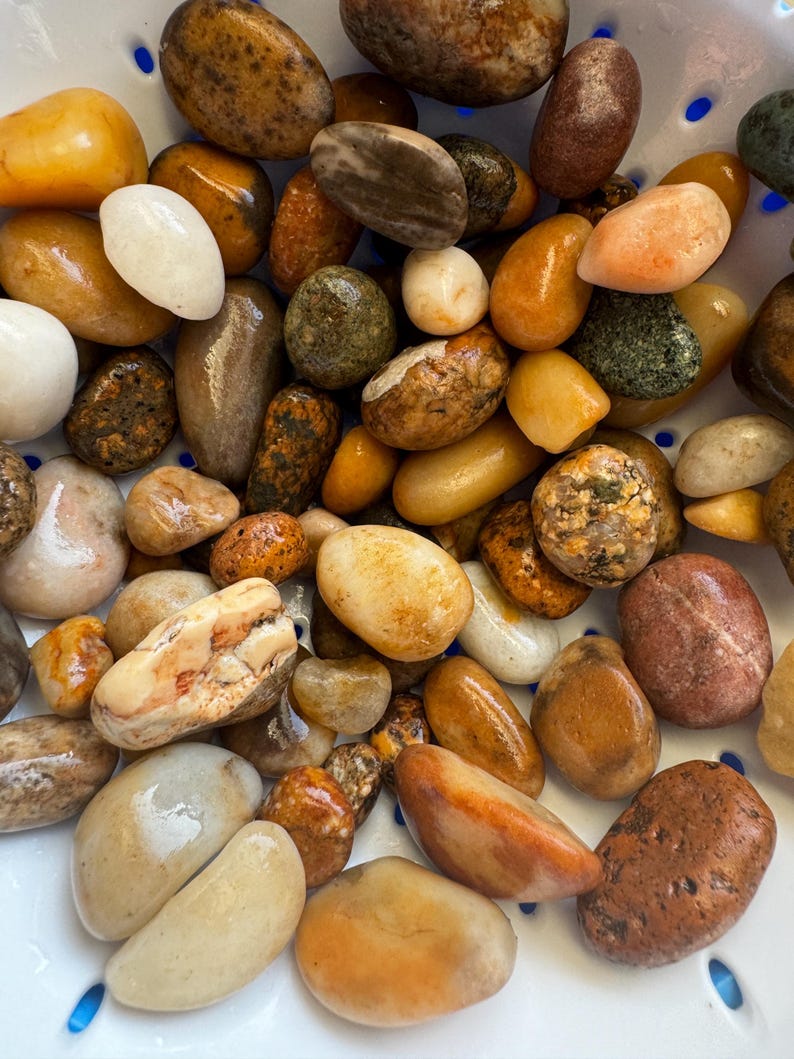 Pnw Rocks Light Columbia River Agates – 1 Lb Natural River Rocks (.5–1.25 ...