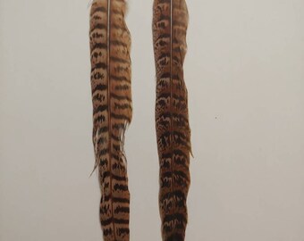 Beautiful long black, white and brown natural feather earrings!