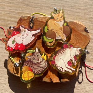 May include: Four cat-themed keychains with fruit designs. One keychain features a white cat with cherries, another an orange cat with kiwis, a third a tabby cat with mangoes, and the last a white cat with raspberries. Each keychain has a silver clasp.