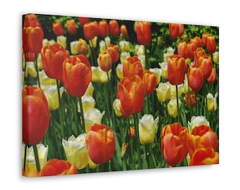 Canvas Wall Art, Floral Wall Art Canvas, Tulip Wall Art, Floral Wall Decor, Flower Wall Art, Botanical Wall Art, Large Canvas Print