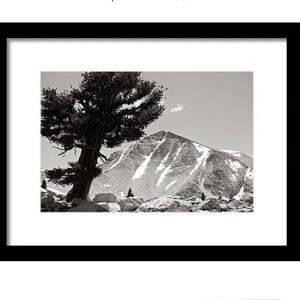 Afdrukbare kunst aan de muur: digitale download van het landschap van het nationaal park, zwart-wit landschapsfotografie, hedendaagse cabinedecor