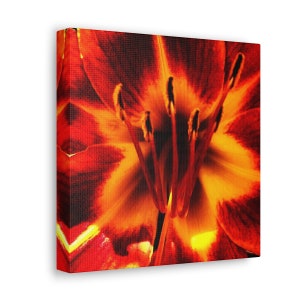 Square Canvas Wall Art: Flower Close-up Photograph; Canvas Print, Floral Home Decor, Flower Wall Art, Stretched Canvas Gallery Wraps