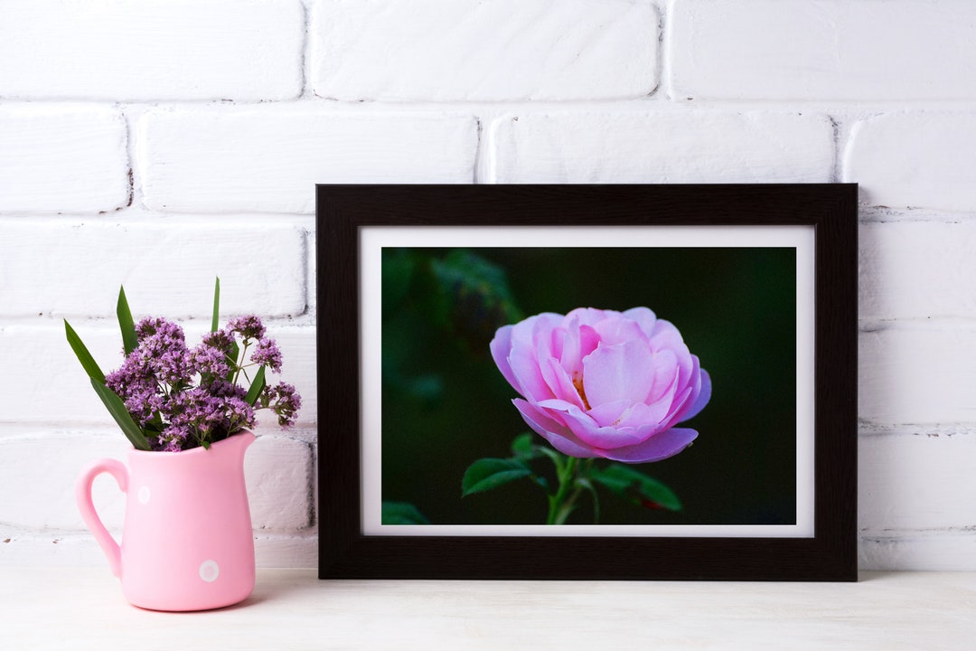 Printable Wall Art Photography: Digital Download of Pink Flower ...
