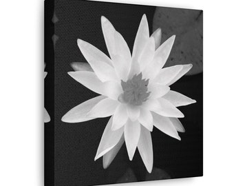 Square Canvas Wall Art: Water Lilly in Black & White, Canvas Print, Fine Art Print, Floral Wall Art, Floral Decor, Botanical Wall Art