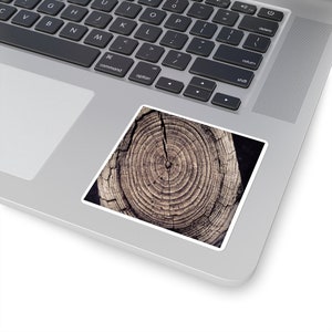 Pegatina cuadrada; "Anillos de árboles en sepia", pegatina para computadora portátil, opciones de múltiples tamaños, decoración rústica, decoración de granjas, fotografía de bellas artes