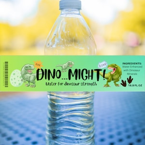 Water Bottle Labels for Dinosaur Boy Birthday Party Sized 16.9 oz; Digital Download, Printable Labels, NO Editing needed, 2 Color Options