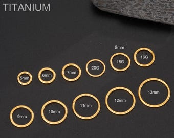 16G/18G/20G Gold Implant Grade Titanium Hinged Clicker,Nose,Cartilage,Helix,Daith,Tragus,Conch Piercings, Minimalist Hoop Earrings (5-13mm)