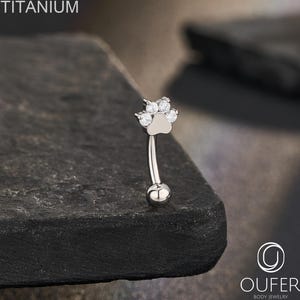Può includere: Un gioiello per il corpo a barra curva color argento con un design a forma di zampa sulla parte superiore, impreziosito da quattro pietre rotonde trasparenti. La scritta TITANIUM è in alto a sinistra e il logo OUFER è in basso a destra.