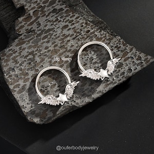 16G Stern Flügel Septum Ring/Septum Schmuck/Septum Piercing/1Stück/Daith Ohrringe/Knorpel Hoop/Helix Hoop/Conch Hoop/Danity Ohrring/Geschenke
