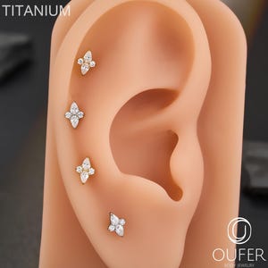 Può includere: Quattro orecchini in titanio con un design floreale, ciascuno ornato di cristalli chiari e scintillanti. Gli orecchini sono esposti su un modello di orecchio color beige. La parola "TITANIUM" è stampata in bianco in alto a sinistra.