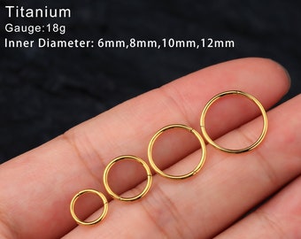 18G goud Titanium scharnierende Clicker/neusring/septum/kraakbeen hoepel/Helix hoepel/Daith hoepel/Conch hoepel/kraakbeen oorbel/Rook hoepel/cadeau voor haar