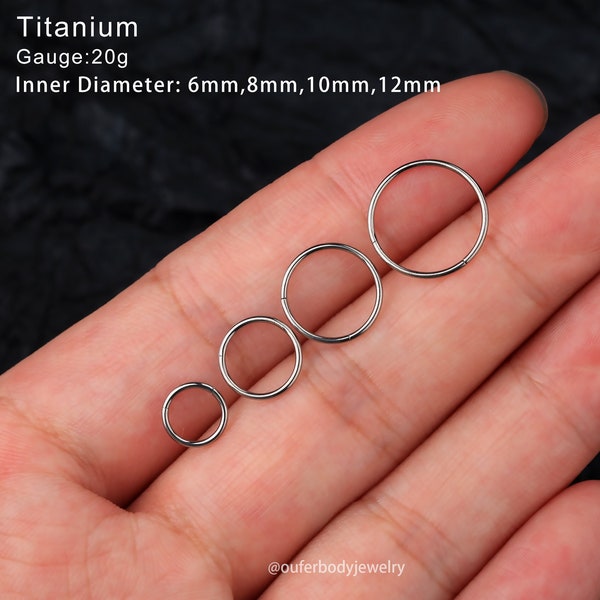 20G Titanium Hinged Clicker/Nose Ring/Nose Piercing/Cartilage Earring/Helix/Daith/Tragus/Conch Hoop/Lobe/Minimalist Earrings/5,6,7,8,9,10,12