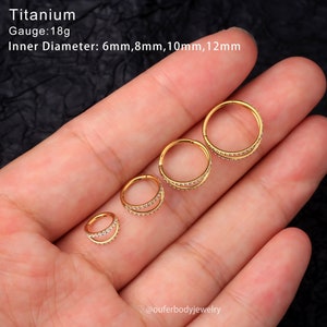 Anneau de nez double cz, titane, or 18 g/piercing nez/boucle d'oreille cartilagineuse/anneau hélicoïdal/anneau de conque/anneau de tragus/créoles Daith/boucles d'oreilles minimalistes