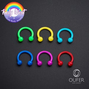 Oufer X Roly 6PCS Rainbow Set Multicolored Horseshoe Septum Ring/16G 14G 316L Stainless Steel Septum Piercing/ Daith Earring/Cartilage/Helix