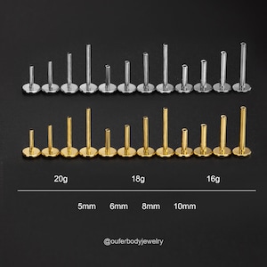 16/18G 20G 5,6,7,8,9,10,11,12mm DRAADLOOS implantaat Titanium vervanging/draadloze paal/push pin terug/platte achterkant/helix/conch/tragus/neus stud afbeelding 1