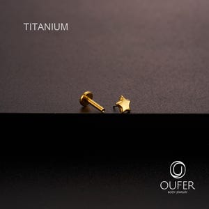 K&ouml;nnte beinhalten: Ein goldfarbener Stern-Ohrstecker und ein flacher Labret-Stecker werden auf einer dunklen Oberfl&auml;che gezeigt. Das Wort "TITANIUM" ist in Wei&szlig; gedruckt. Der Schmuck ist von OUFER BODY JEWELRY.
