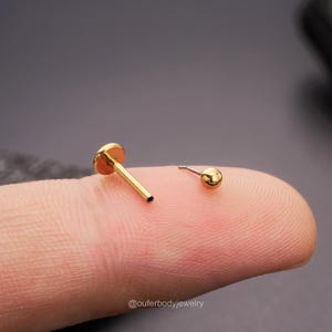 May include: Two gold body jewelry pieces, one is a flat-backed stud with a post, the other is a ball stud. Both are on a finger.