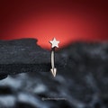16G Implant Titanium Star Spike Eyebrow Ring/Vertical Labret/Rook Barbell/Curved Barbell/Rook Earring/Eyebrow Piercing/Cartilage Earrings